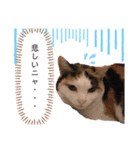 みんなのナナ様（個別スタンプ：8）