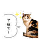 みんなのナナ様（個別スタンプ：9）