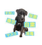 BAKKすたんぷ（個別スタンプ：3）