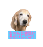 BAKKすたんぷ（個別スタンプ：4）