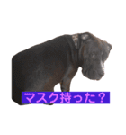 BAKKすたんぷ（個別スタンプ：5）