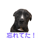 BAKKすたんぷ（個別スタンプ：6）