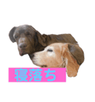 BAKKすたんぷ（個別スタンプ：10）