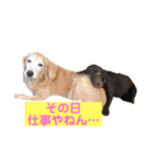 BAKKすたんぷ（個別スタンプ：12）