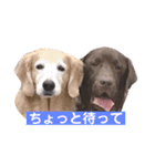 BAKKすたんぷ（個別スタンプ：13）