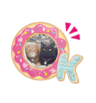 ちゃとら＆ジジ（個別スタンプ：11）