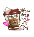 ちゃとら＆ジジ（個別スタンプ：16）
