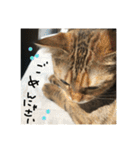 にゃんすたんぷ2（個別スタンプ：18）