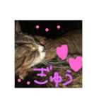 にゃんすたんぷ2（個別スタンプ：29）