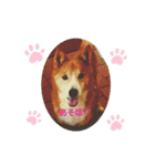 ♡かぶき大好き♡（個別スタンプ：1）