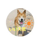 ♡かぶき大好き♡（個別スタンプ：5）