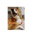 ♡かぶき大好き♡（個別スタンプ：6）
