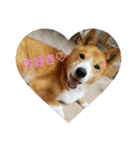 ♡かぶき大好き♡（個別スタンプ：7）