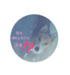 ♡かぶき大好き♡（個別スタンプ：12）
