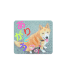 ♡かぶき大好き♡（個別スタンプ：14）