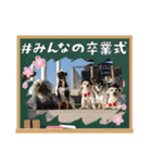 ジジババビビニコルウの第7弾（個別スタンプ：40）