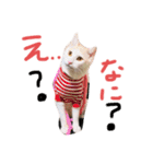 グゥとパル（個別スタンプ：4）