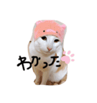 グゥとパル（個別スタンプ：7）