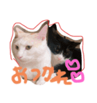 グゥとパル（個別スタンプ：8）