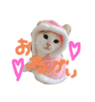グゥとパル（個別スタンプ：13）