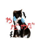 グゥとパル（個別スタンプ：17）