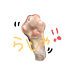 グゥとパル（個別スタンプ：32）