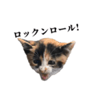 元野良ハッピーファミリー（個別スタンプ：26）