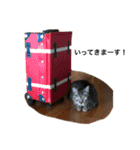 コロラム（個別スタンプ：8）