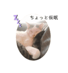 コロラム（個別スタンプ：10）