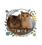 コロラム（個別スタンプ：18）