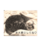 コロラム（個別スタンプ：21）