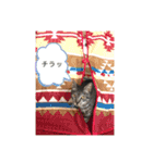 コロラム（個別スタンプ：22）