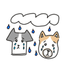 喜怒哀楽な犬（個別スタンプ：19）