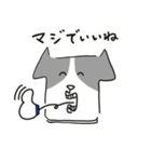 喜怒哀楽な犬（個別スタンプ：33）
