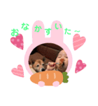 こっちゃんだよー3（個別スタンプ：5）