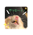 おやき2（個別スタンプ：6）