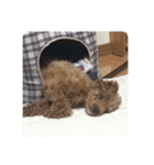 マルプーアルくん2（個別スタンプ：34）