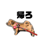 愛犬ピノちゃん（個別スタンプ：9）