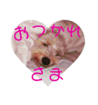 るーちゃんずスタンプ（個別スタンプ：4）