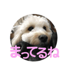 るーちゃんずスタンプ（個別スタンプ：9）