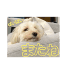 るーちゃんずスタンプ（個別スタンプ：10）