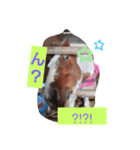 HORSE.R（個別スタンプ：7）
