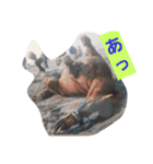 HORSE.R（個別スタンプ：11）