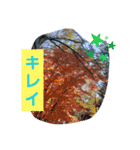 HORSE.R（個別スタンプ：12）