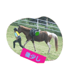 HORSE.R（個別スタンプ：15）