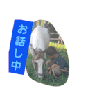 HORSE.R（個別スタンプ：18）