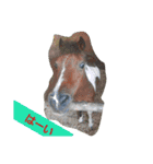 HORSE.R（個別スタンプ：20）