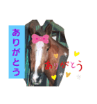 HORSE.R（個別スタンプ：23）