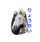 HORSE.R（個別スタンプ：26）