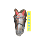 HORSE.R（個別スタンプ：27）
